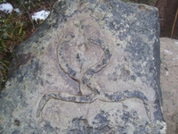 Define İşaretleri Yılanın Anlamı?