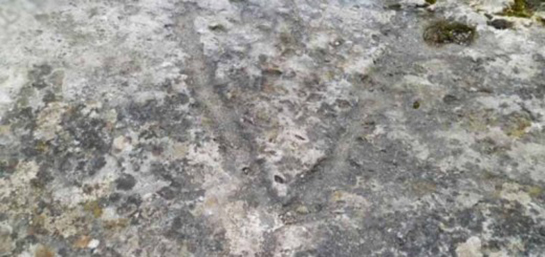 Define İşaretleri Çözümü