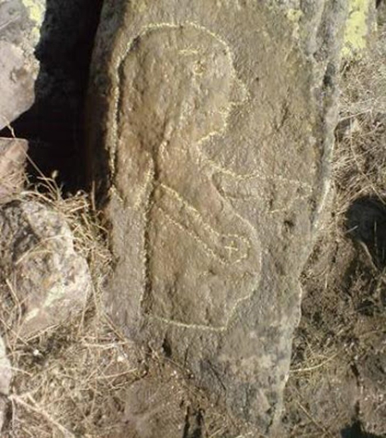 Define İşaretleri Hamile Kadının Anlamı