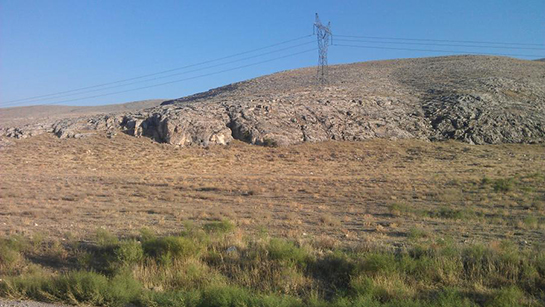 Define İşaretleri Maymunun Anlamı