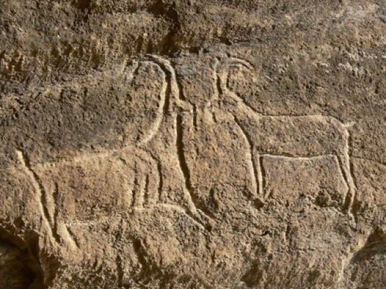 Geyik İşareti ve Anlamı