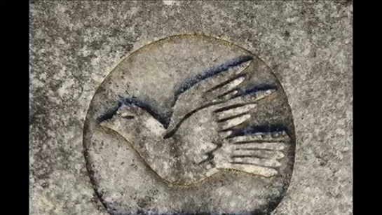 Güvercin İşareti ve Anlamı