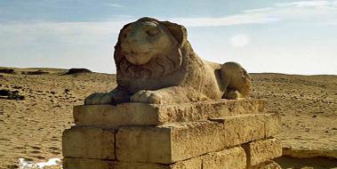 Aslan areti Ve Anlam