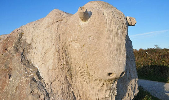 Öküz İşareti ve Anlamı