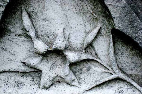 Papatya İşareti ve Anlamı