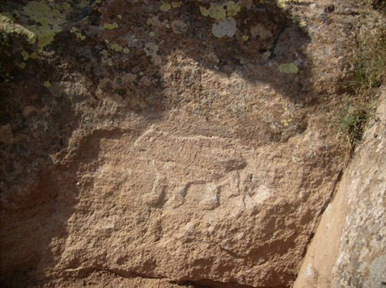 Topal Ayı İşareti ve Anlamı